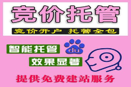 百度推广实战：案例分析与优化技巧